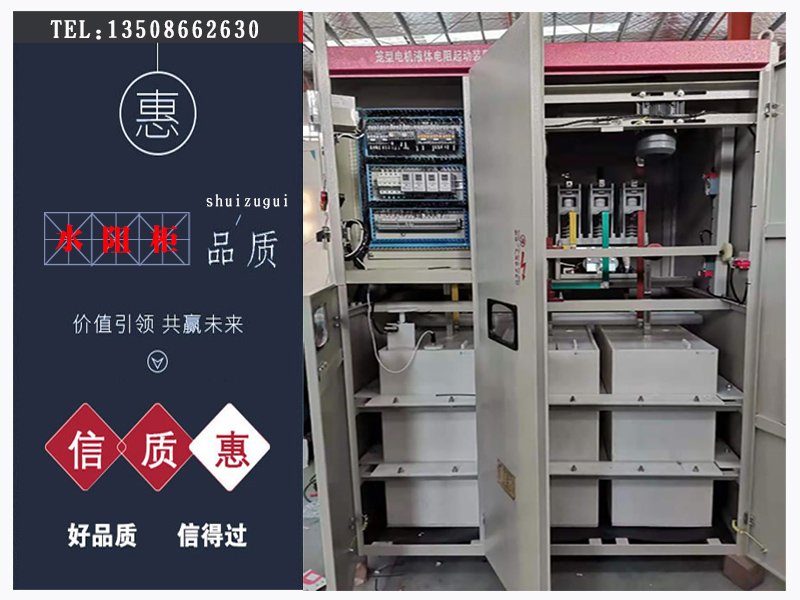高壓電阻起動柜,水電阻起動柜,水阻柜,高壓水阻柜廠家
